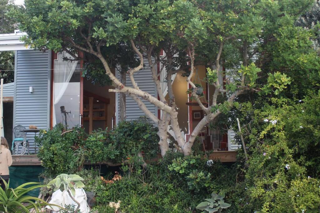 Quirky Eco-Friendly Artist Studio Città del Capo Esterno foto